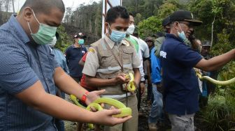 10 Satwa Liar Dilepasliarkan ke Habitat Alami di Papua