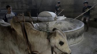 Pekerja memproduksi mie berbahan baku tepung tapioka di pabrik mie lethek cap Garuda, Bendo, Srandakan, Bantul, D I Yogyakarta, Jumat (4/6/2021). [ANTARA FOTO/Andreas Fitri Atmoko]