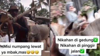 Jalan Utama Desa Dikepung Tenda Nikahan, Aksi Warga Nyelonong Giring Sapi Jadi Perdebatan