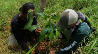 Sejumlah relawan menanam bibit pohon di bantaran kali Cikarang, Kabupaten Bekasi, Minggu (6/6/2021).  [Suara.com/Dian Latifah]