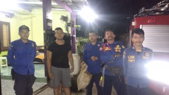 Vespa Affinis Ancam Nyawa Warga Ciampea Bogor