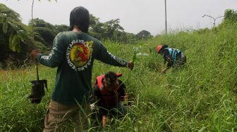 Bantaran Kali Cikarang Ditanami Ratusan Pohon