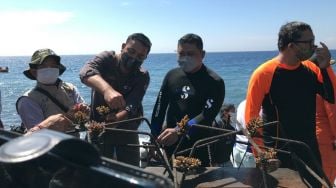 Hari Lingkungan Hidup Sedunia, BKSDA Bali Tanam Terumbu Karang di Pantai Tulamben