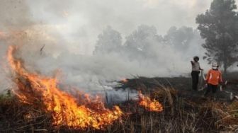 Ada 42 Titik Panas Terpantau di Sumatera, di Riau 2 Titik