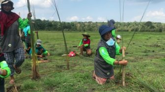 Bahan Baku Berlimpah, Kearifan Lokal Purun Sumsel Butuh Pasar