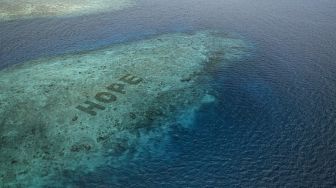 Lindungi Ekosistem Laut, Inilah Restorasi Terumbu Karang Terbesar di Dunia