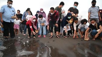 Puluhan Tukik Dilepas di Pantai Kali Buntu Klirong