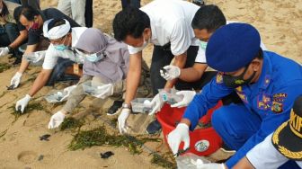 KLHK Lepasliarkan 500 Ekor Tukik Penyu di Pantai Sanur Bali