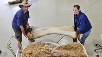 Dinosaurus Setinggi Gedung 2 Lantai Ditemukan di Australia