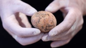 Arkeolog menunjukan telur ayam yang berumur seribu tahun di kota yavne, Israel, Rabu (9/6).  Emmanuel DUNAND / AFP