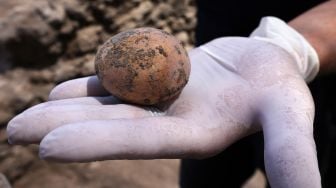 Telur Ayam Berumur Seribu Tahun Ditemukan di Israel