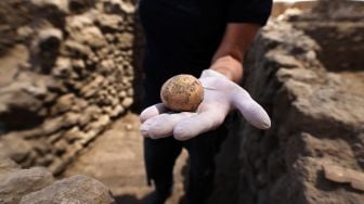 Arkeolog menunjukan telur ayam yang berumur seribu tahun di kota yavne, Israel, Rabu (9/6).  Emmanuel DUNAND / AFP