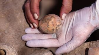 Arkeolog menunjukan telur ayam yang berumur seribu tahun di kota yavne, Israel, Rabu (9/6).  Emmanuel DUNAND / AFP