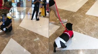 Viral Lantai Mal Penuh Kotoran Anjing, Aksi Petugas Kebersihan Disorot
