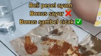 Makan Pecel Ayam, Cewek Ini Temukan Tamu Tak Diundang di Dalam Sambal