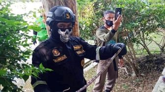Tim OTU Damkar Kuningan Tangkap Ular Welang Sepanjang 1 Meter
