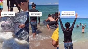 Viral Momen Pelepasan Penyu Raksasa ke Laut, Aksi Pria Ini Naikin Penyu Bikin Salfok