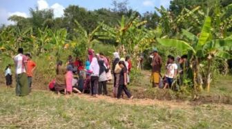 Bikin Heboh! Sumber Air Tiba-tiba Keluar di Tengah Sawah, Dipercaya Warga Jadi Obat