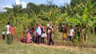 Mata Air Keluar di Tengah Sawah, Warga Berkerumun Keheranan