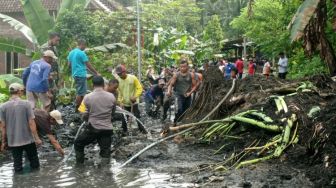 Hujan Deras Semalam Sebabkan Lima Titik Longsor di Tiga Desa Trenggalek