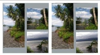 Foto-Foto Bukti Tsunami di Maluku Tengah, Pantai Longsor Pohon Kelapa Tumbang