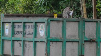 Sejumlah monyet ekor panjang (Macaca fascicularis) mencari makanan di tumpukan sampah limbah rumah tangga di Gunung Kencana, Lebak, Banten, Kamis (17/6/2021). ANTARA FOTO/Muhammad Bagus Khoirunas