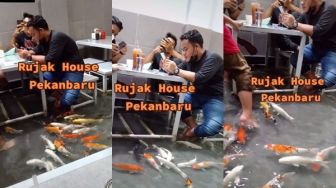 Bukan Main! Viral Warung Tawarkan Makan Rujak Bareng Ikan Koi, Tuai Komentar Kocak