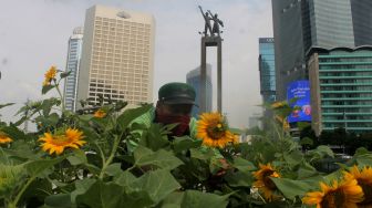 Petugas menata bunga Matahari di Bundaran HI, Jakarta, Jumat (18/6/2021).  [Suara.com/Dian Latifah]