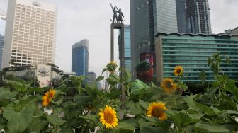 Petugas menata bunga Matahari di Bundaran HI, Jakarta, Jumat (18/6/2021).  [Suara.com/Dian Latifah]