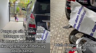 Viral Wanita Ngelus Dada, Was-was Mobil Rusak Kena Lemparan Batu Anak Tetangga