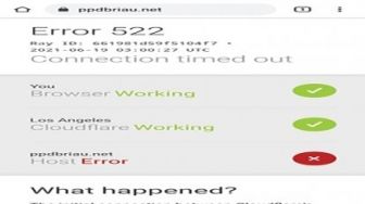 Dewan Pendidikan Sayangkan Penundaan PPDB Online: PPDB Saja Tak Beres