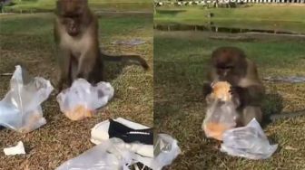 Viral Monyet Ambil Gorengan Pengunjung Taman Unri, Netizen: Santuy Banget
