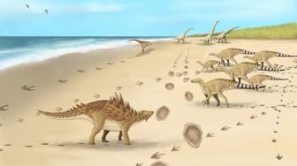 Ditemukan! Ini Jejak Kaki Dinosaurus Terakhir yang Hidup di Inggris