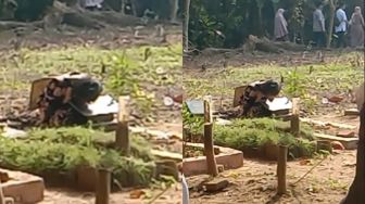 Aksi Bocah Peluk Makam Sang Ibu Bikin Mewek, Kisahnya Haru