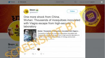 CEK FAKTA: Benarkah Ribuan Nyamuk Yang Disuntik Viagra Lepas dari Lab Wuhan?