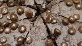 Rendah Kalori, Intip Resep Brownies Oatmeal untuk Diet
