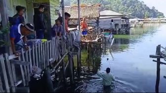 Ikan-ikan Dasar Laut Naik ke Permukaan: Ada yang Berenang Perlahan