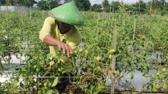 Istana Kirim Utusan untuk Temui Petani Penggarap di Sukabumi