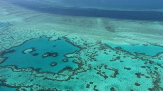 Terancam, PBB Ajukan Great Barrier Reef Jadi Situs Warisan Dunia dalam Bahaya