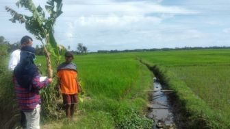 Mentan: Dengan RJIT, Petani Tak Perlu Khawatir Saat Musim Kemarau