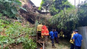 Pohon Tumbang Rusak Rumah Warga Balikpapan, Sempat Tutup Akses Jalan