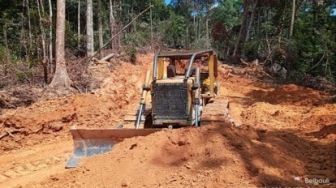Tak Kapok, Pembalakan Liar di Bukit Rimbang dan Baling Kuansing Jalan Terus