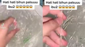 Videonya Peringatkan Bihun Palsu Viral, TikToker Banjir Hujatan