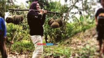 Pangandaran Ternyata Punya Durian Lokal yang Lezat, Penasaran?