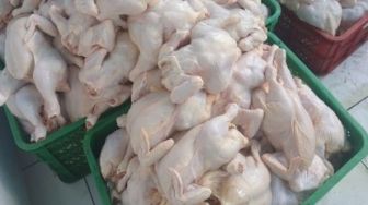 Harga Cabe dan Bawang di Kuansing Naik, Daging Ayam Ras Anjlok