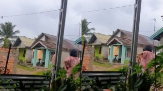 Tak Terima Bunganya Dirusak Ayam Tetangga, Ibu-ibu Ini Ngamuk