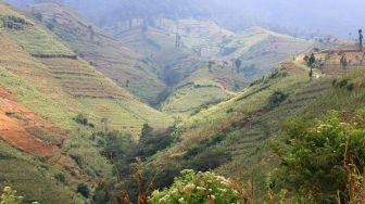 Sedengkeng Pass, Satu Bahagia yang Dicampur dengan Alam