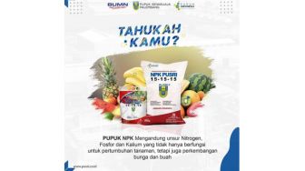 Pupuk NPK: Fungsi dan Cara Pakai