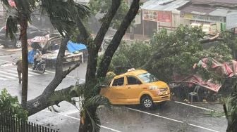 Pohon Tumbang Timpa Angkot Depan RSUP Adam Malik, Dua Orang Tewas