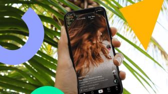Cara Download Video TikTok & Facebook